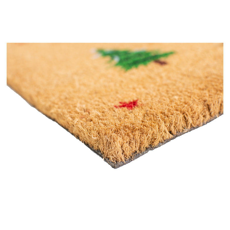 Tapis d'extérieur anti-dérapant Bertrand, Rectangle l 2 pi x L 3 pi