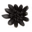 Compactum Succulent Wall Decor