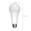 16.5 Watt LED Bulb-59018163