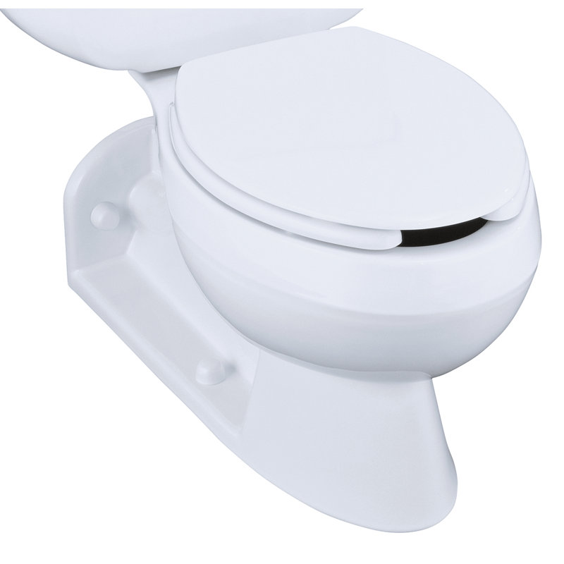 Barrington Elongated Rear Outlet Toilet Bowl with Antimicrobial Finish, Less Seat