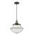 Blanding 1 - Light Single Pendant-28759787-50888257
