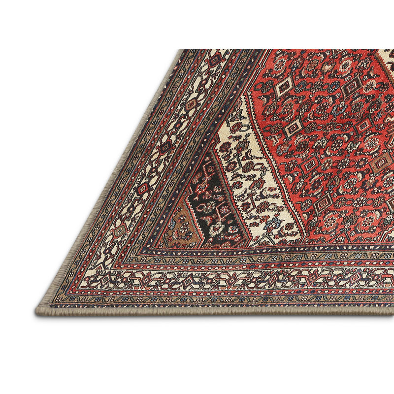 Oriental Indoor Rug, Rectangle 8' x 12'