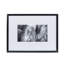Black And White Palm Leaves C Print