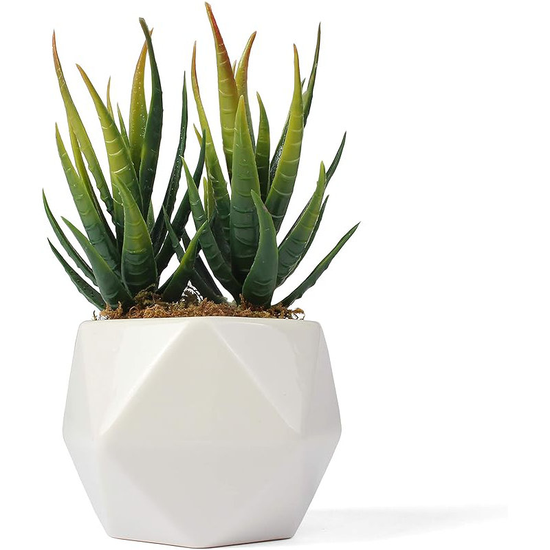 Aloès artificiel 6,25 po dans un vase