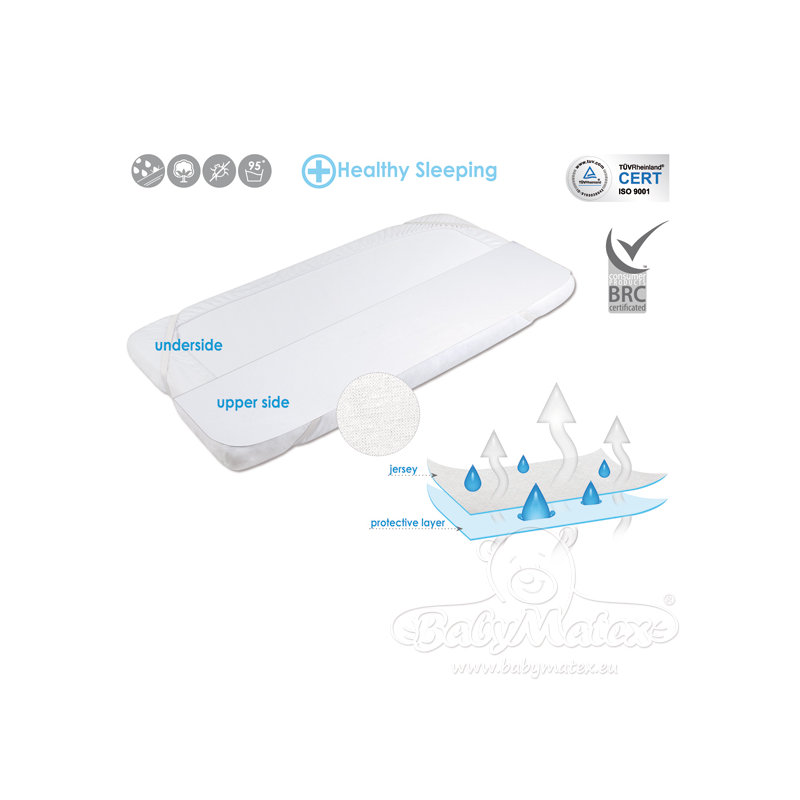 Symple Stuff Mattress Protector Mattress