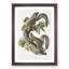 Hare Squirrels by J.W. Audubon - Picture Frame Painting Print-55580269-55580273