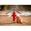Bouche d'incendie de brume Bark Park