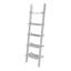 Ira 5-Tier Ladder Shelf Bookcase Unit-21213705