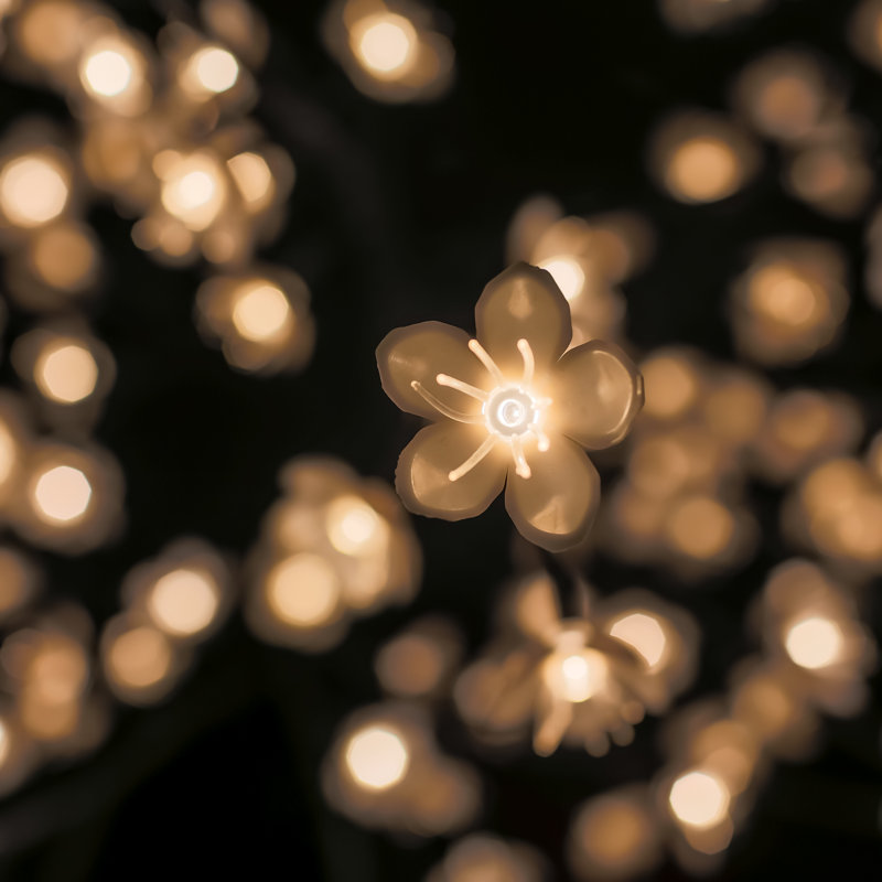 Blossom Tree String Lights