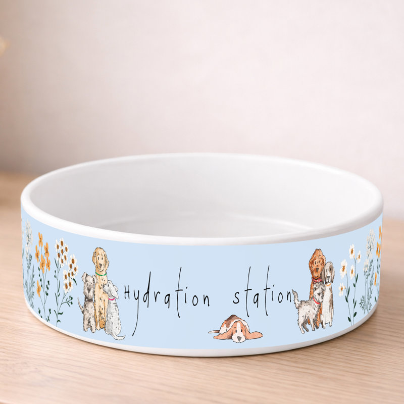 At Home With Paws Pet Bowl