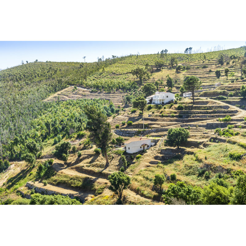 Deogilde Terracé Slopes In Monchique par Eunikasopotnicka - Photographie sur toile tendue, H 24 po x l 36 po