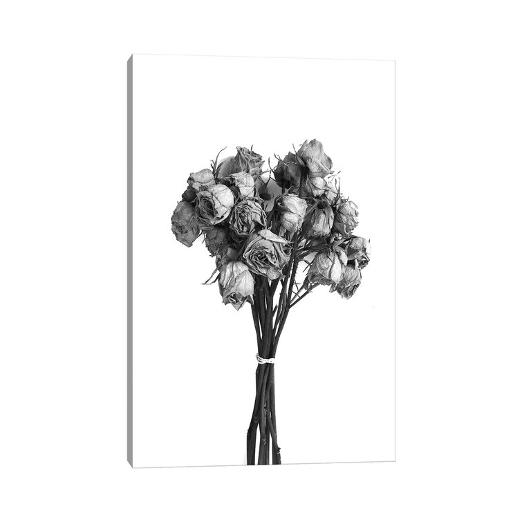 Dried Roses Black & White by Jonathan Brooks - Gallery-Wrapped Canvas Giclée East Urban Home Size: 18 H x 12 W x 1.5 D