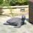 Zachary Tortoise MGO Garden Statue