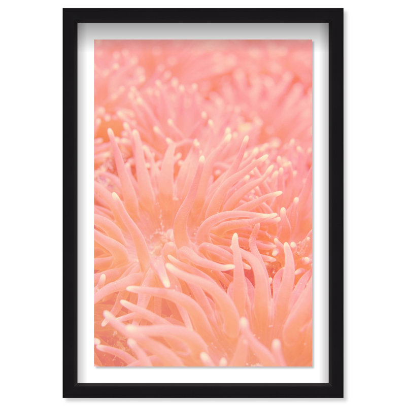 Deep Sea Flowers Shadowbox Nautical & Beach Print by Oliver Gal, Black Frame, 10 x 15, 16.5"H x 11.5"W, Black Shadowbox