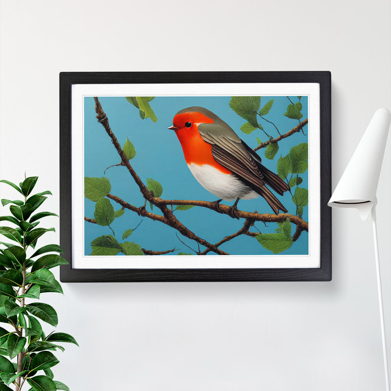 Astounding Robin Bird - Single Picture Frame Print, Black Framed, 46cm H x 64cm W x 2cm D