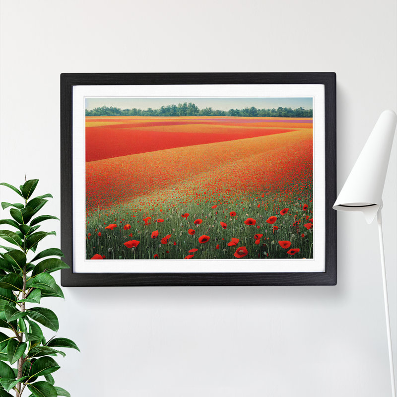 Exquisite Poppy Field Flowers - Single Picture Frame Print, 25cm H x 34cm W x 2cm D, Black Framed