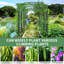 Treillis arqué pour jardin extérieur