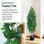150cm Plant-1447866085