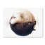 «Yin and Yang», impression sur toile tendue-23090541