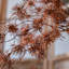 Plante artificielle 33,46 po Cangli-800132674-800132685