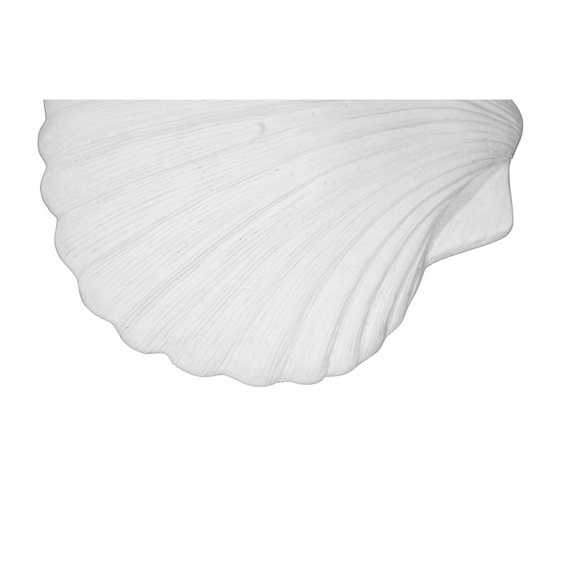 Sea Shell Wall Art, White Stone