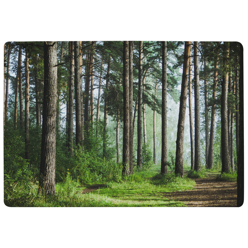 Insken Area Rug, Rectangle 60 x 110cm