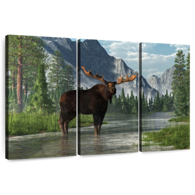 Habitat Bull Bull