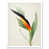 White Framed Paper