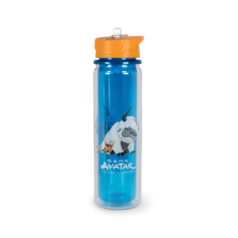 Avatar: le dernier maître de l'air bouteille d'eau Aang And Appa | Peut contenir 16 onces