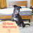 Ultraplush Memory Foam 10" Mattress-48781210