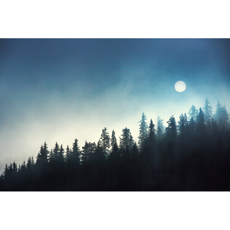 Faris Pine Forest On Mountain - Wrapped Canvas Print, 20cm H x 30cm W x 3.8cm D