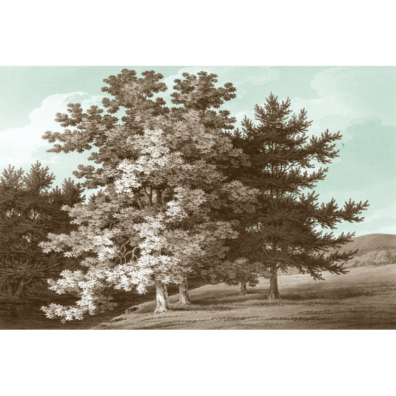 Serene Trees I by Edward Kennion - Wrapped Canvas Painting, 30cm H x 46cm W x 3.8cm D