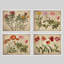 «Red Wildflowers Collages», œuvre d'art moderne, impression encadrée, affiche, salle de bain-104785195-104785198