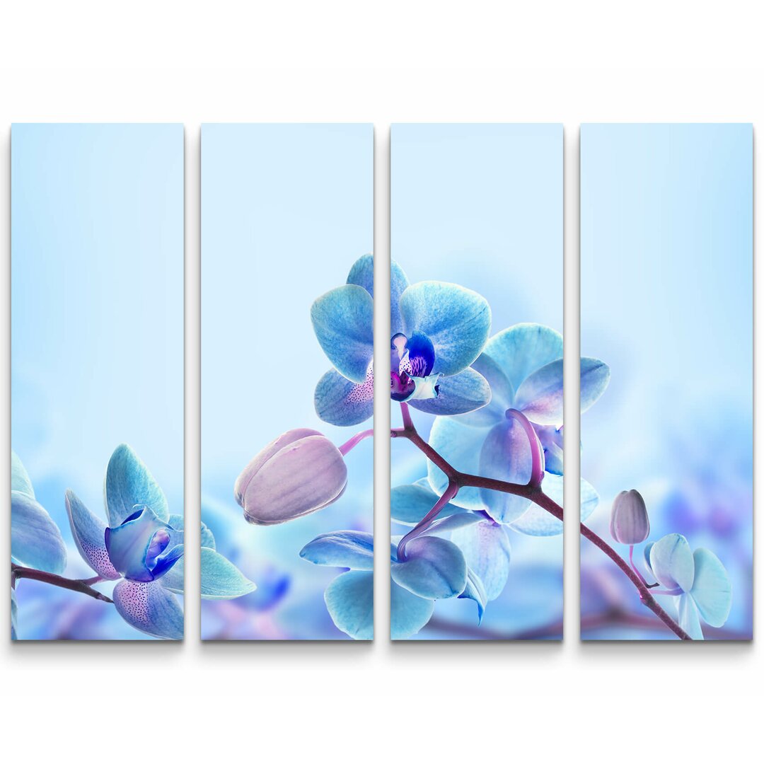 4-tlg. Leinwandbilder-Set Nahaufnahme einer Blaue Orchidee