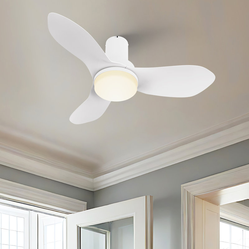 36" Elaise 3-Blade LED Flush Mount Ceiling Fan with Light, White, 36" W