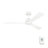 Martrell Ceiling Fan-75885278-87900162-111282299