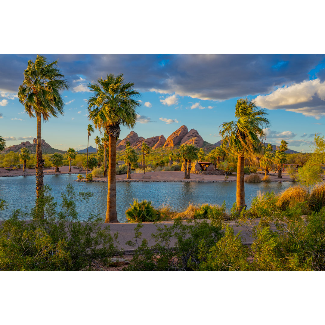 Papago Park In Tempe von Ron und Patty Thomas - Leinwanddrucke