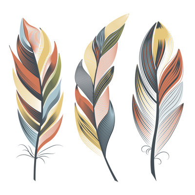 Multi-Colored Fluffy Feathers - Wrapped Canvas Print