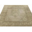Wool Oriental Area Rug in Beige/Brown, Gray/Silver, Green