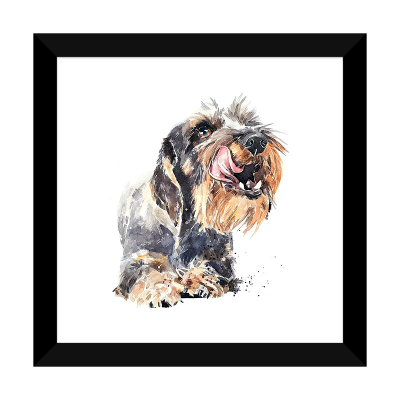 «Wirehaired Dachshund I» par EdsWatercolours - impression, Papier encadré noir, Blanc, H 16 po x l 16 po x p 1 po