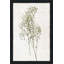 Farmhouse Pressed Flower I - Peinture-1905960697-1905960689