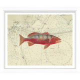 Vibrant Fish 3 Giclee Print by Soicher Marin Archives