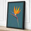 Bird of Paradise Bloom Botanical - Wrapped Canvas-1617526519-1617526518