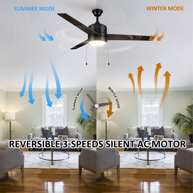 Derryhirk 52'' Ceiling Fan with LED Lights, Black
