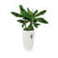 Pot Planter-37904943-37904944