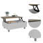 Table basse rectangulaire à plateau relevable
