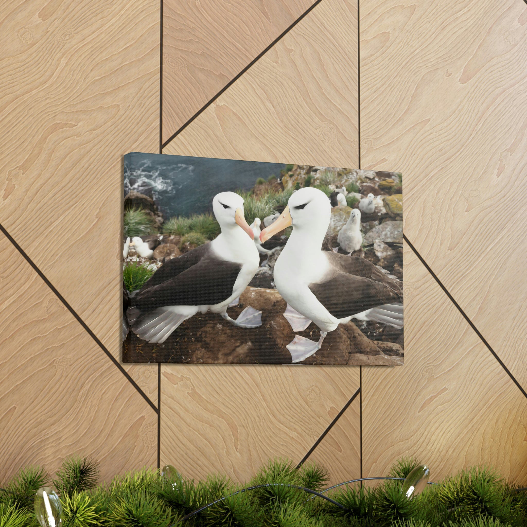 Dovecove Funny Albatross Kissing Close Up Outside Wall Art | Wayfair