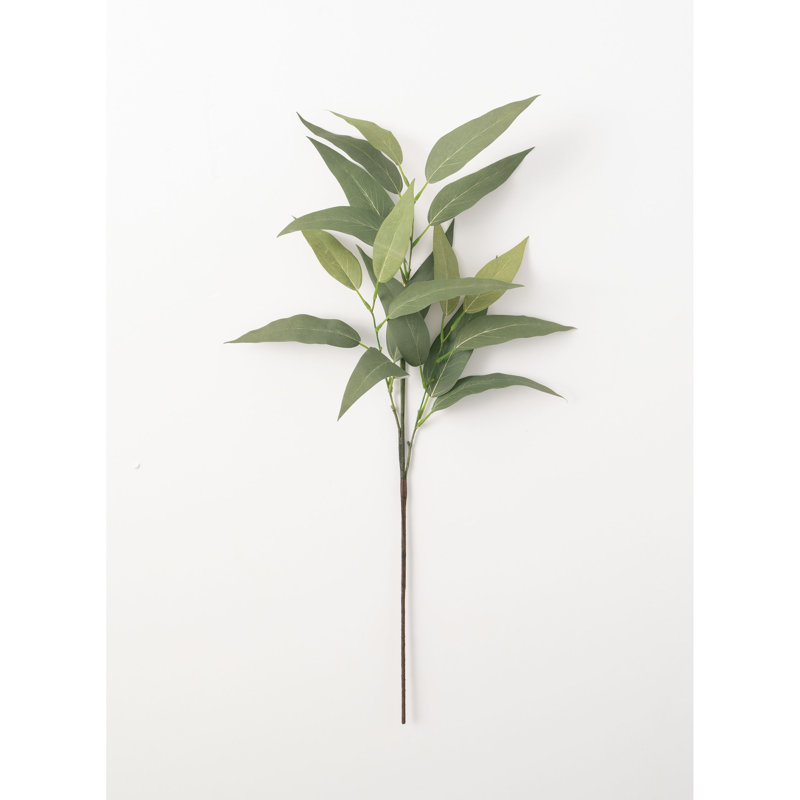 Jet eucalyptus