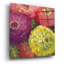 «Zinnia Gala I» par Carol Rowan-1559085451