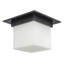 Mineral 8-in Brass Flush Mount-1180263548-1180263549